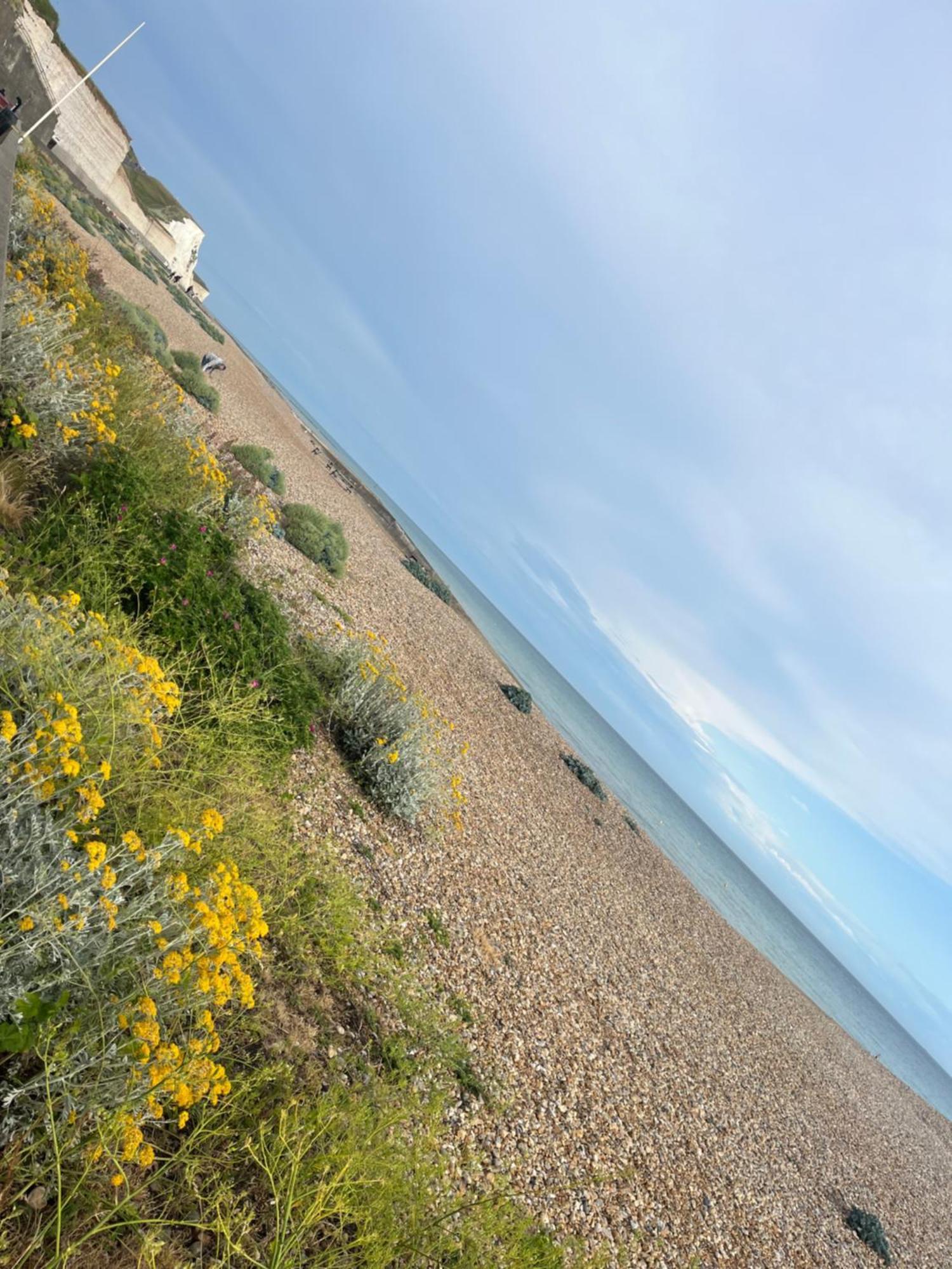 Saltdean Stay Brighton Eksteriør bilde